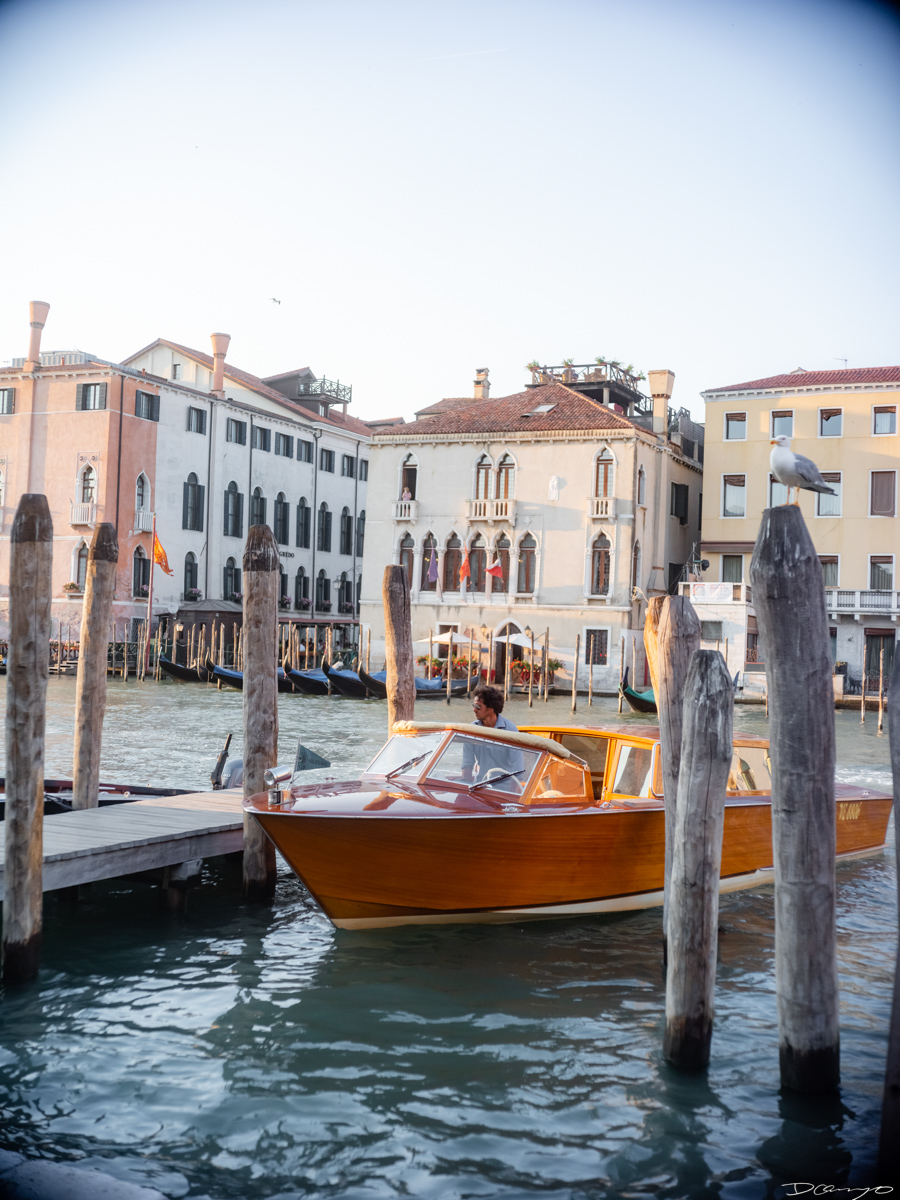 Photos from a trip through Italy in Summer of 2023. Locations include Rome, Florence, Tuscany, Castello di Bossi in Chianti, Siena, San Gimignano, Sirmione on Lake Garda, Bologna, Gudon, Italian Dolomites, Seceda, Cadini di Misurina, and Venice.